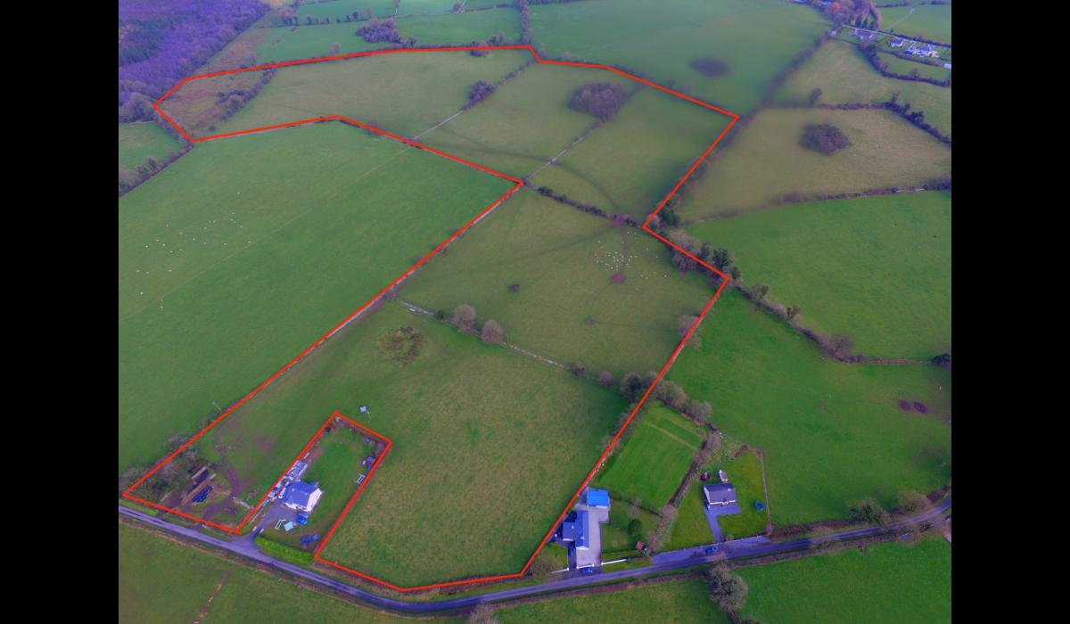 Longford farm to be sold at online auction Ireland Live