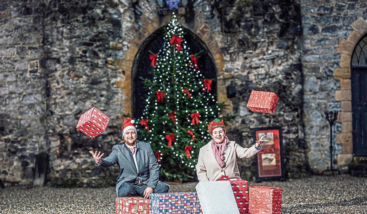Special giving tree central to Limerick city Christmas toy appeal