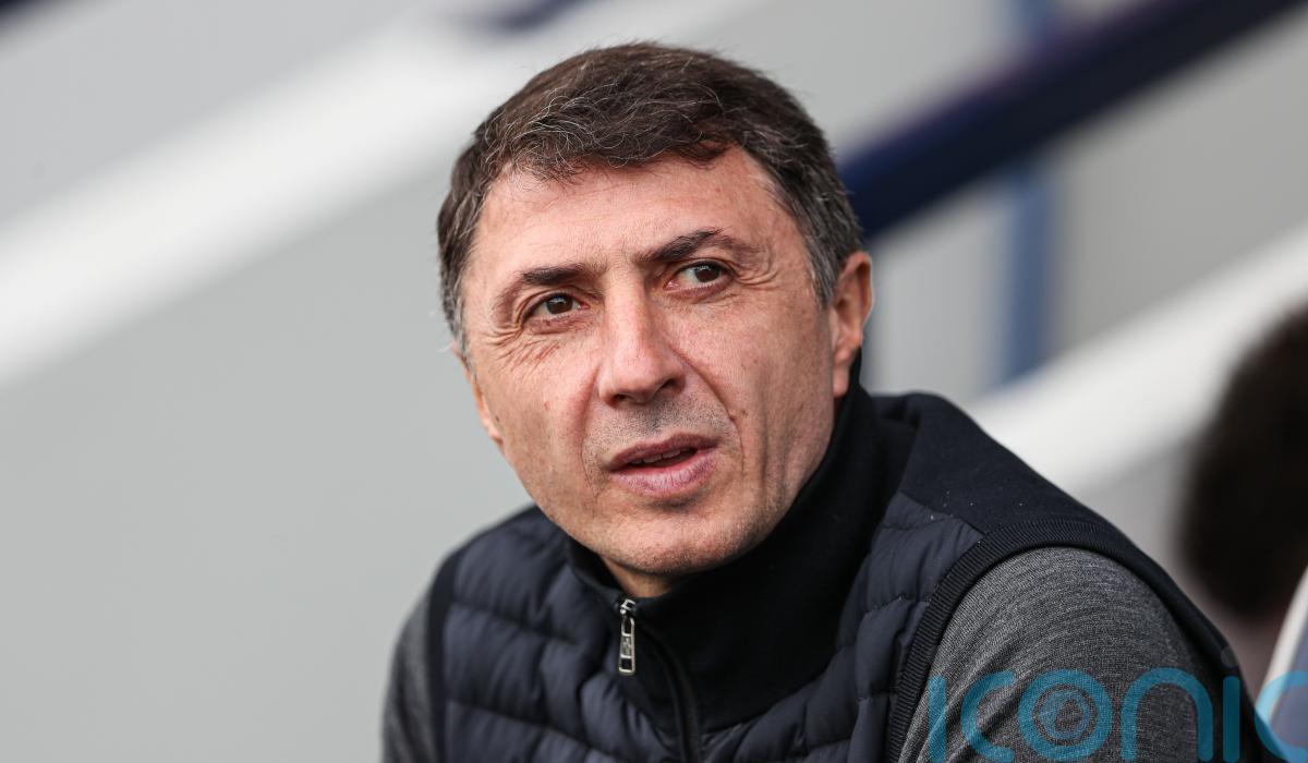 Hull sack manager Shota Arveladze just hours before Luton clash ...