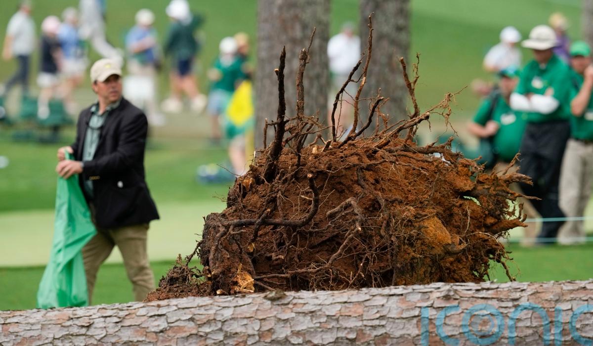 Masters suspended after pine trees fall down amid strong winds at Augusta Ireland Live