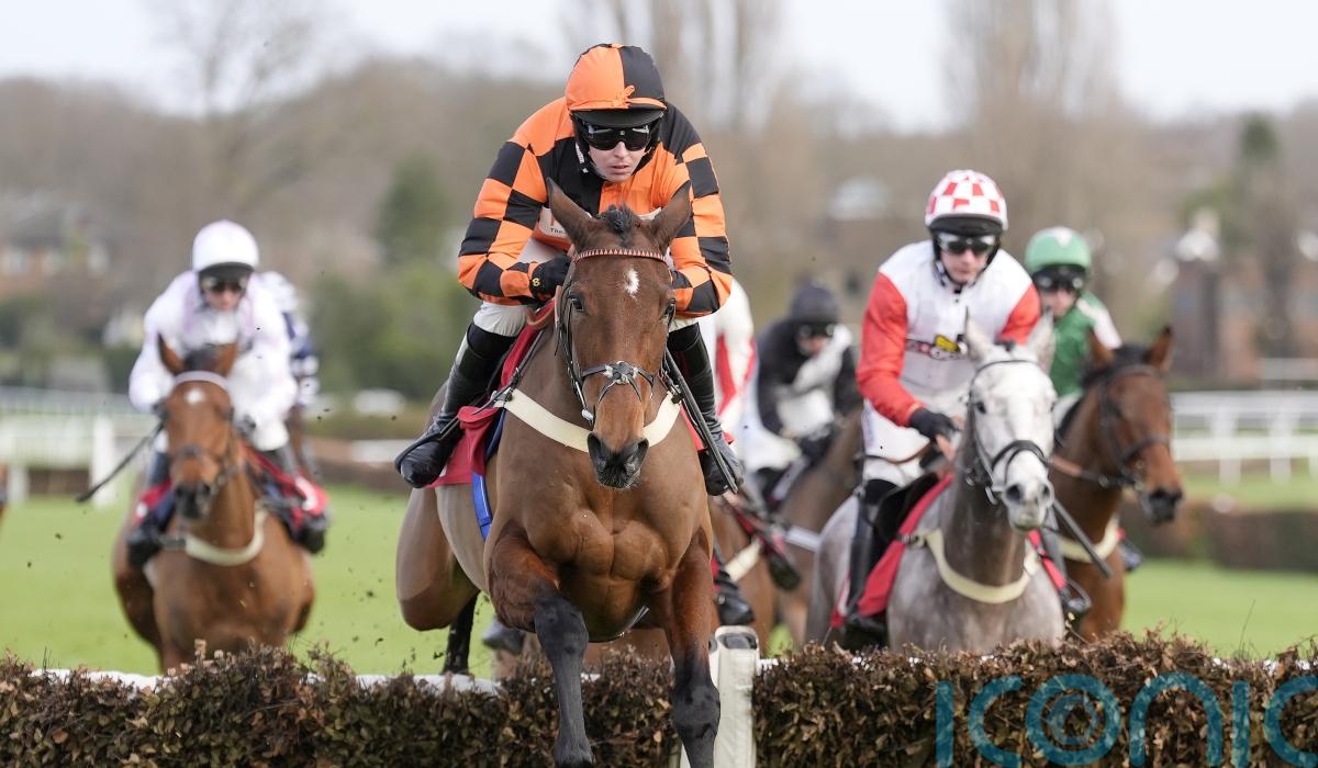 Diva Luna primed for next step on the road to Cheltenham