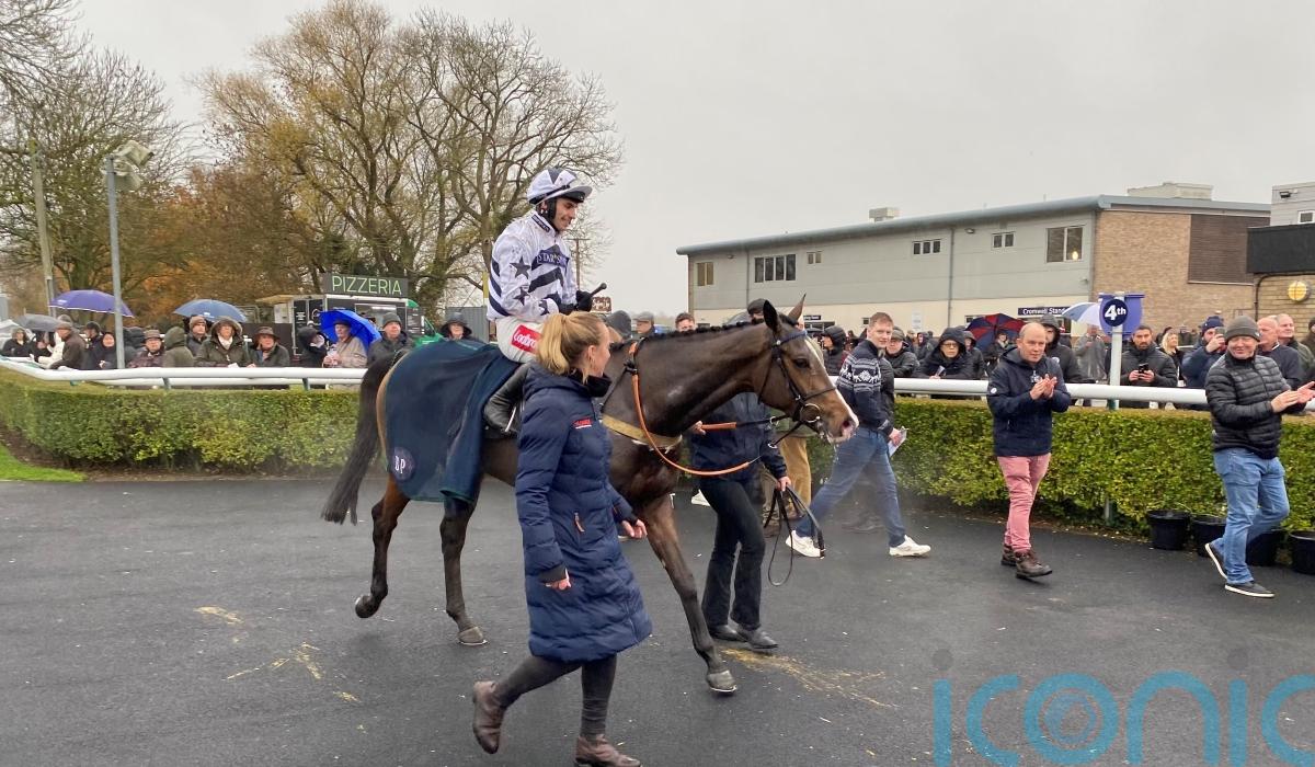 Why has Watts Wondering about Cheltenham