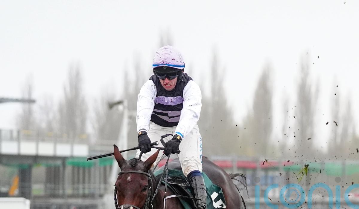 July Flower aiming to bloom at Leopardstown