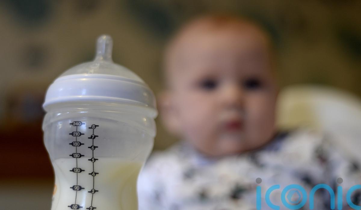 Food safety watchdog confirms presence of toxin in baby formula