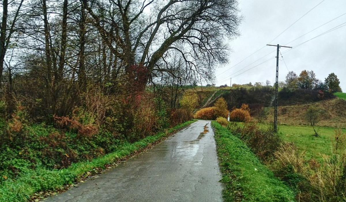 Limerick councillors criticise ‘ridiculous’ hedge cutting restrictions