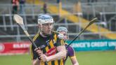'I live day to day' - Kilkenny's TJ Reid reveals the secret to his hurling longevity