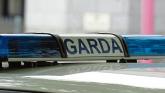 Elderly woman in her 70s dies days after late-night crash as gardaí appeal for witnesses