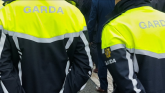 Disqualified Longford driver covered face as he tried to evade garda&iacute;