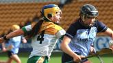 Late consolation goals give Offaly heart as Dublin get away for deserved win