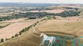 White horse landmark to be examined for damage after red cross pinned to it