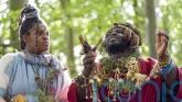 Sheriff issues order for removal of ‘African tribe’ from Scottish Borders woods