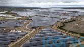 Renewables generate record share of electricity generation, figures show