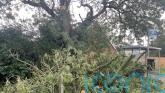 34,000 homes left without power as Storm Amy sweeps country