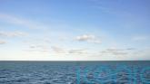 Cutting global emissions ‘only way’ to safeguard seafood, scientists warn