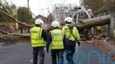 Report recommends cancelling events under Orange wind warnings