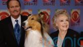 Lassie and Lost In Space star June Lockhart dies aged 100