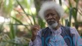 Nigeria’s Nobel-winning author Wole Soyinka says his US visa has been revoked