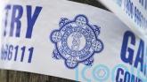 Murder investigation launched after death of man in Kildare