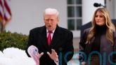 Trump makes dig about Biden as he pardons Thanksgiving turkeys