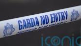 Woman and young boy die in Co Offaly house fire