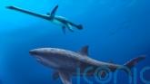 Monstrous shark ruled ancient Australian seas before megalodon, researchers say