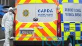 Bodies of boy and man removed from separate Dublin homes