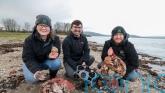Thousands of oysters planted in Belfast Lough to restore species in the waterway