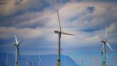 Record amounts of offshore wind secured in latest Government auction