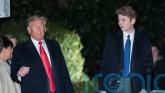 Rape accused answered Barron Trump video-call during altercation, court told