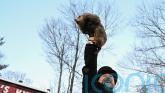 Crowds gather to see Punxsutawney Phil predict the weather on Groundhog Day