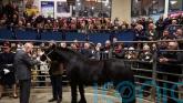 Charles reminded of his mother&rsquo;s beloved horse during visit to Clitheroe