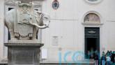Rome&rsquo;s Bernini elephant sculpture loses tip of its tusk &ndash; again