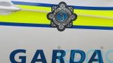 Girl, 16, killed in hit-and-run in Navan