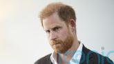 Duke of Sussex campfire story given to Mail by someone present, High Court told