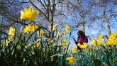Temperatures set to reach 18C this week as meteorological spring begins