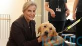 Duchess of Edinburgh celebrates 40 years of Guide Dogs for the Blind in NI