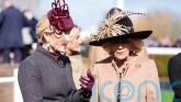 Camilla and Zara bring the glamour as Ladies Day returns to Cheltenham