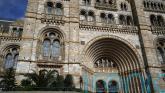 Natural History Museum becomes UK&rsquo;s top attraction for visits