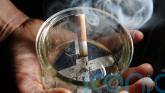 Smoking rates &lsquo;historically low&rsquo; thanks to 2006 ban, health officials say