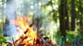 Campfire ban in Cairngorms National Park to come into force to cut wildfire risk