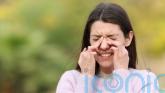 Hay fever season two weeks longer compared to the 90s, review claims