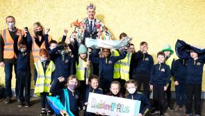 Limerick schools to take part in unique litter picking initiative 