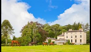 Tipperary's version of Downton Abbey goes on sale for huge €3 million  