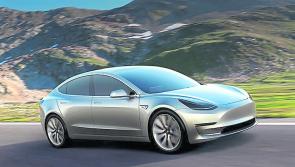 Tesla captures handbag thief in Laois 