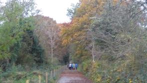 One day closure of Greenways in Leitrim