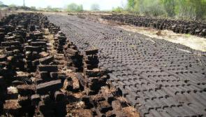 Staggering amount of peatland in Offaly transformed into Carbon Store in 2021