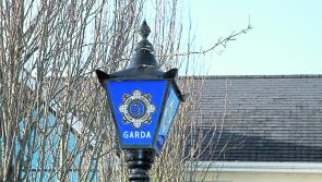 Bogus tradesmen target pensioner in Limerick home