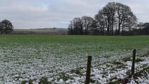 Scattered showers of rain, hail and sleet expected in Leinster today