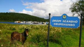 Removing grass from centre of road would weaken it