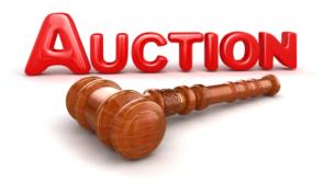 Laois GAA club to raise funds with annual auction